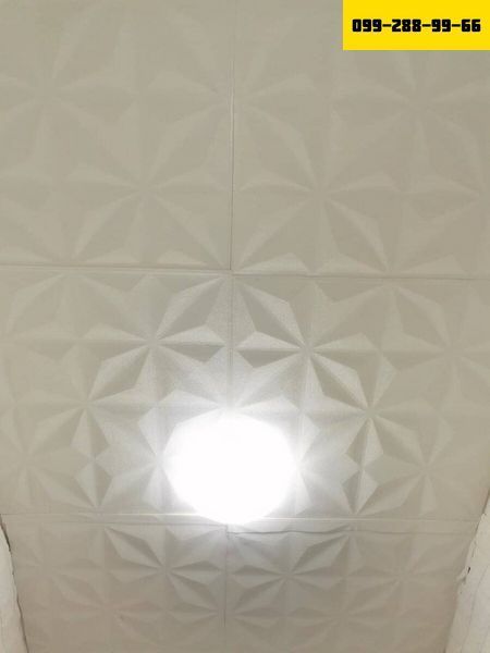 1294102299 фото