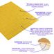 3D панель самоклеющаяся кирпич Желтый 700x770x5мм (010-5) SW-00000146 SW-00000146 фото 2